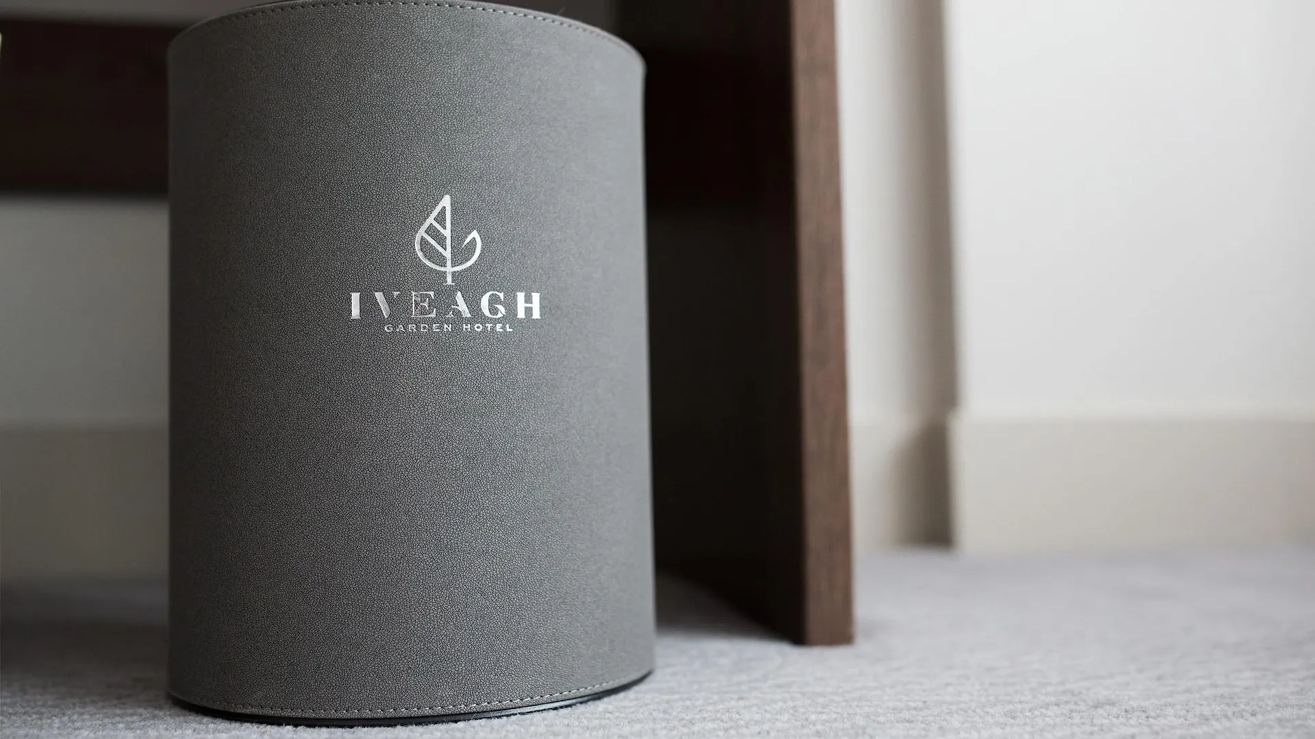 Iveagh Garden Hotel Dublin