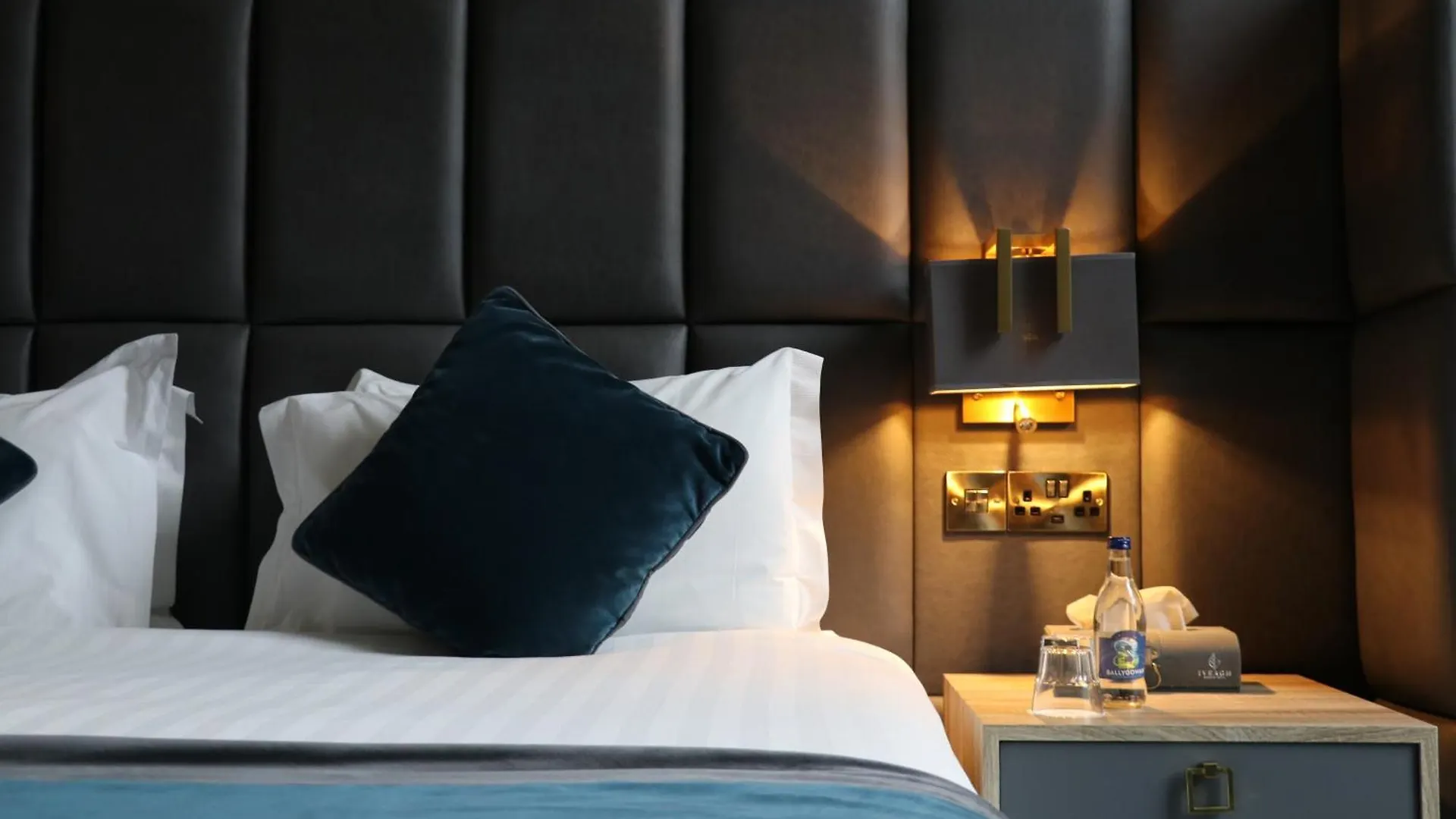 Iveagh Garden Hotel Dublin 4*,