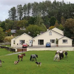 Farm stay Muckross Riding Stables 